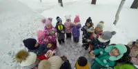 Экологическая акция "Поддержим птиц"