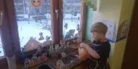 ОГОРОД НА ПОДОКОННИКЕ: МАЛЕНЬКОЕ ЧУДО В КАЖДОЙ ГРУППЕ