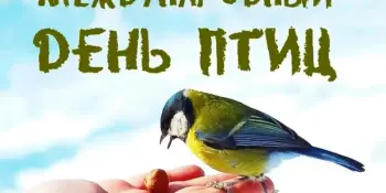 Международный день птиц