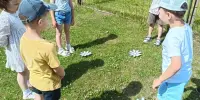День ромашки в детском саду!